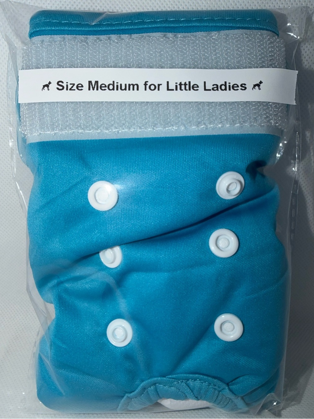 EUC REUSABLE WASHABLE TURQUOISE SMALL GIRL SZ MED. NAPPY *PLEASE SEE DESCRIPTION
